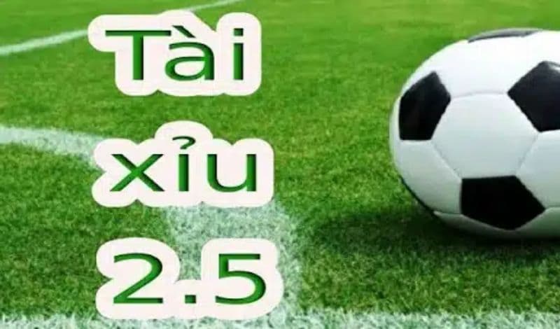 Cách tính tiền của tài xỉu 2.5